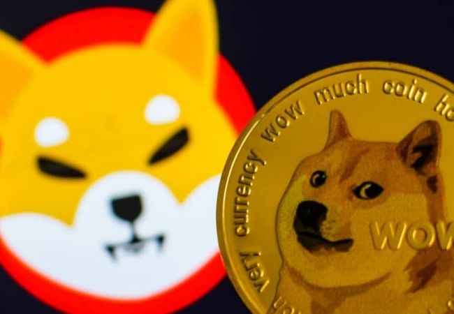 Shiba Inu emerges as most popular crypto surpassing BTH, ETH and Dogecoin