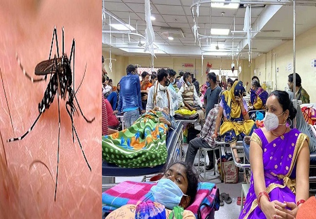 Delhi records 2,569 dengue cases over a week, highest in last 6 years