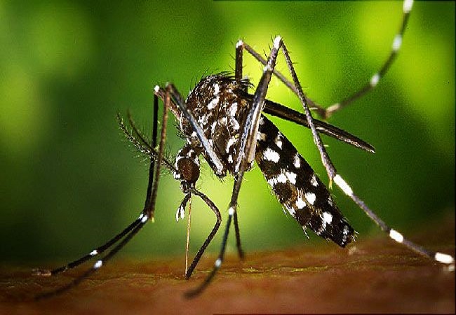 Increased surveillance, statewide doorstep survey brings down Zika transmission in UP