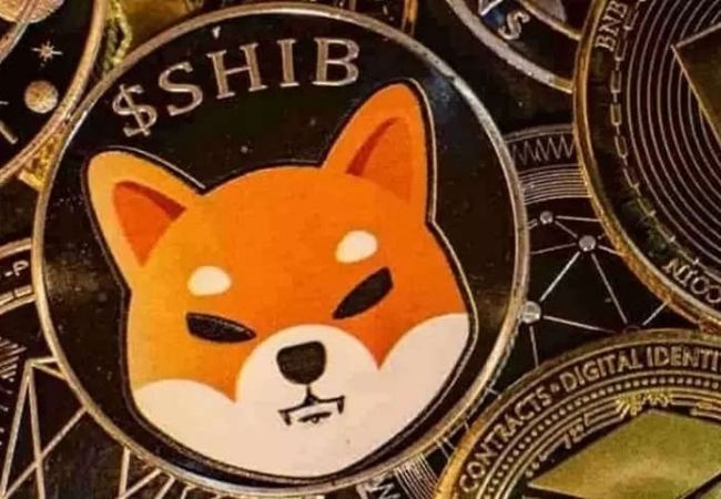 Shiba Inu: Six things you must know about meme-based token before investing