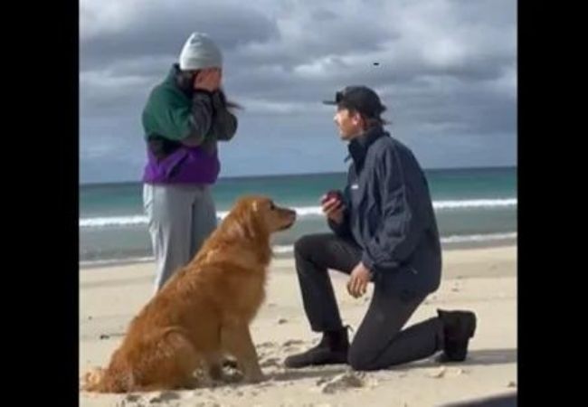Watch: Dog’s reaction to its human proposing his girlfriend on beach leaves netizens in awe