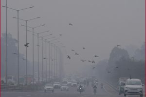 Delhi’s air quality remains in ‘very poor’ category, likely to improve from Friday