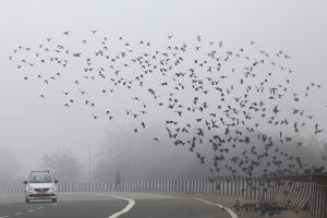 Delhi witnesses foggy morning, AQI improves to ‘moderate’ category