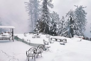 Shimla turns White: Narkanda receives fresh snowfall; See Pics