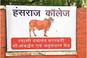 DU: Hansarj college sets up cow research centre, draws ire of students; latter to get curd & milk also