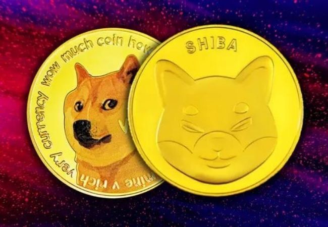 Dogecoin, Shiba Inu