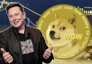 Elon Musk’s Tesla starts accepting Dogecoin for certain merchandise purchase