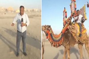 Pak journalist Chand Nawab is back, this time reporting Karachi weather on a camel [Watch]