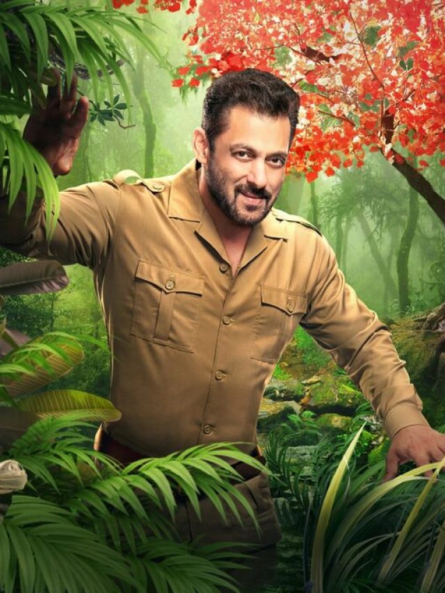 Top 6 contestants of Bigg Boss 15