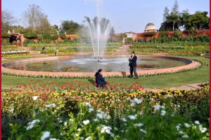 Delhi: Mughal Gardens to open for public from February 12 to March 16