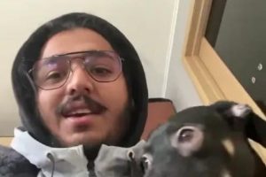 Watch Video: Indian student stranded in Ukraine refuses to leave without his pet; Pleads, ‘If you can, please help us’
