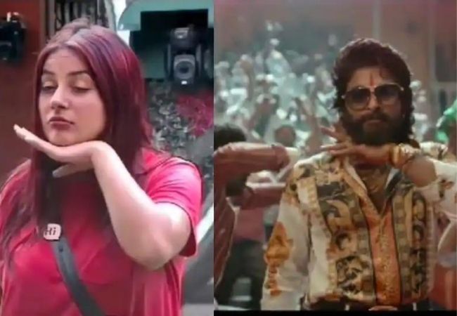 Did Shehnaaz Gill inspire Allu Arjun for his signature hand gesture? Find out