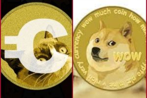 What is CATCOIN? Will Doge and Shib Inu era end?