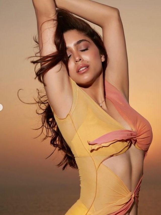 Sharvari Wagh raises temperature in sheer cut-out dress
