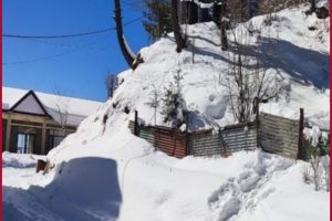 Shimla receives fresh spell of snowfall