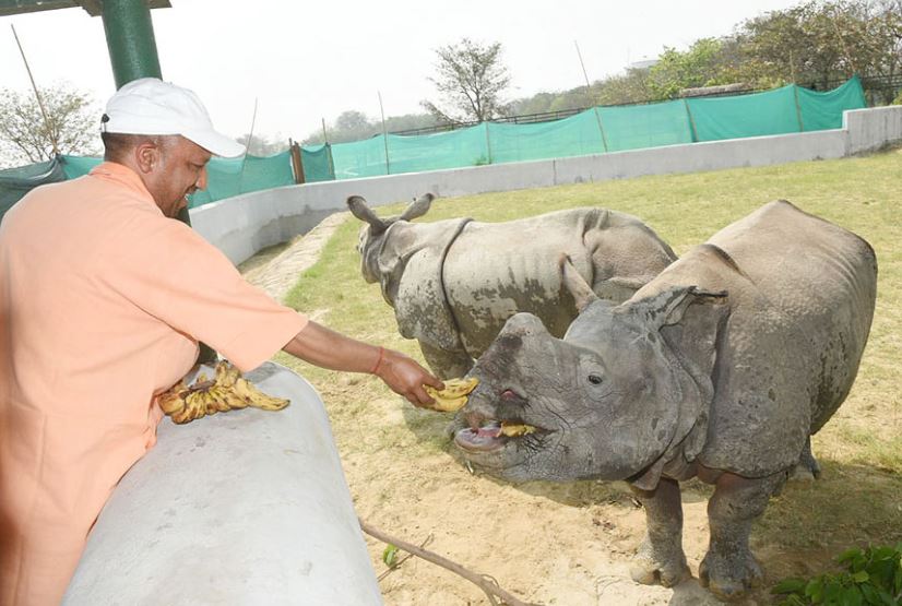 CM Yogi visits Gorakhpur Zoo to welcome two newly arrived Rhinos