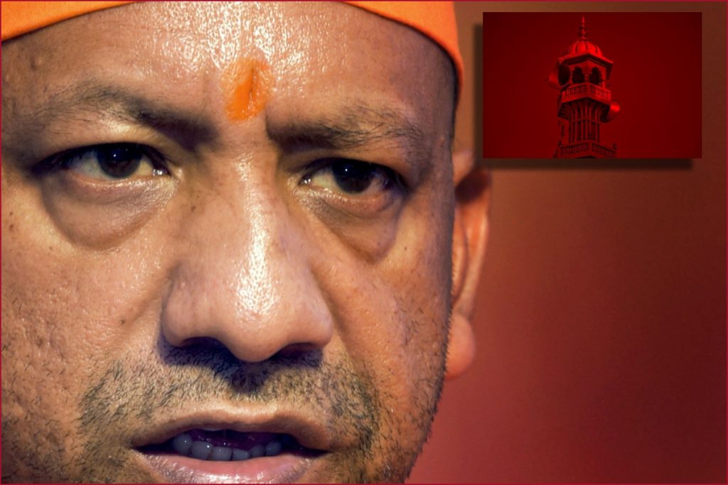 yogi