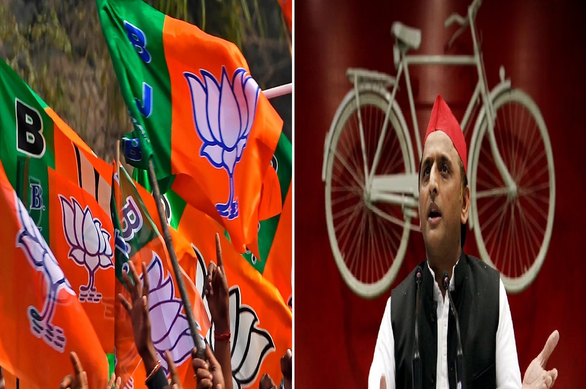 UP MLC election results: BJP sweeps polls, bags 33 out of 36 seats, SP suffers rout