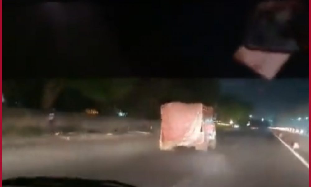 Cow smugglers throw cattle from running truck to evade from cow vigilantes in Gurugram