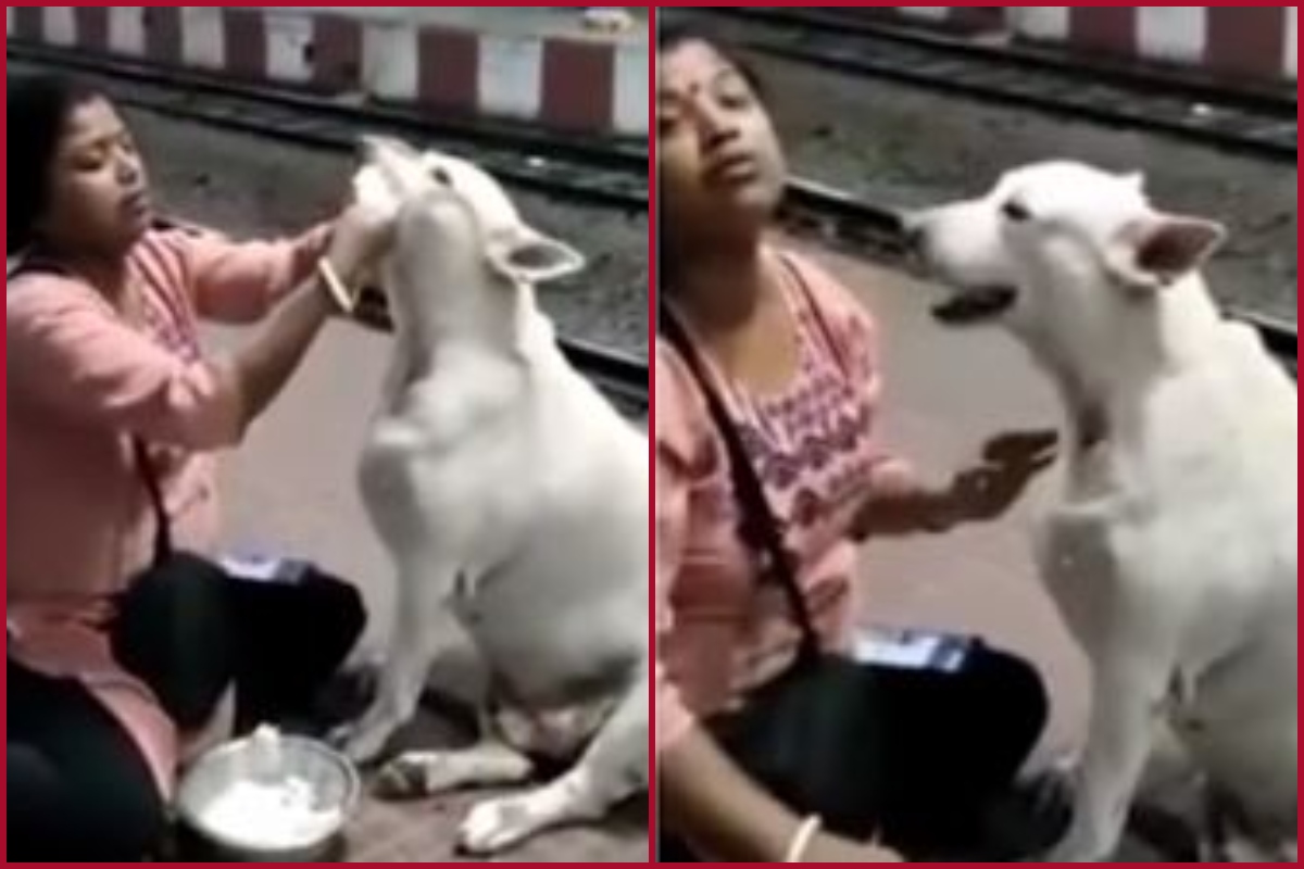 Woman melts netizens’ hearts for feeding stray dog with her hands sitting on Railway platform