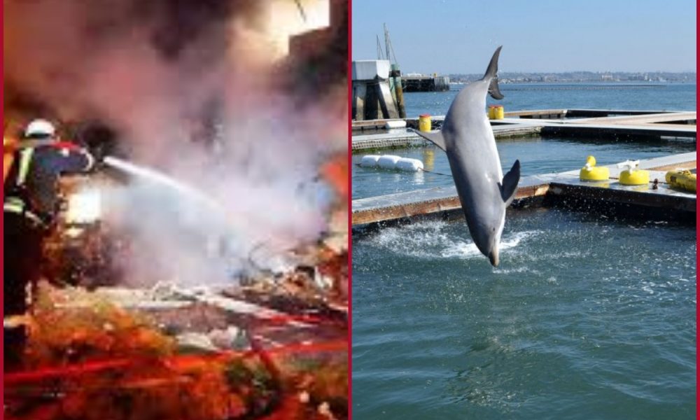 Russian rockets hit Ukraine’s capital; know why it deploys Dolphins in Black Sea 