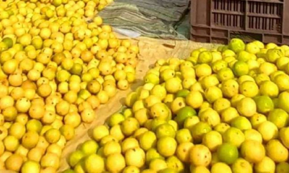 In Delhi-NCR, lemon prices skyrocket to Rs 300/kg; one piece costing Rs 10/-