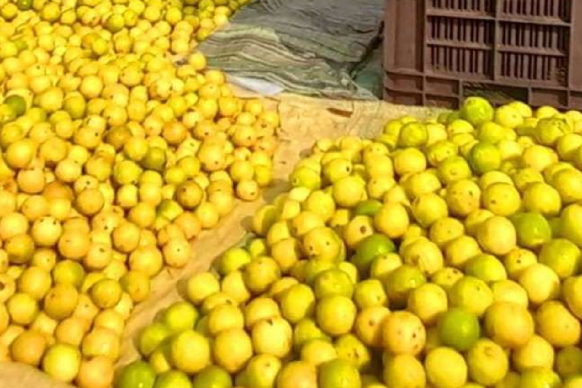 In Delhi-NCR, lemon prices skyrocket to Rs 300/kg; one piece costing Rs 10/-
