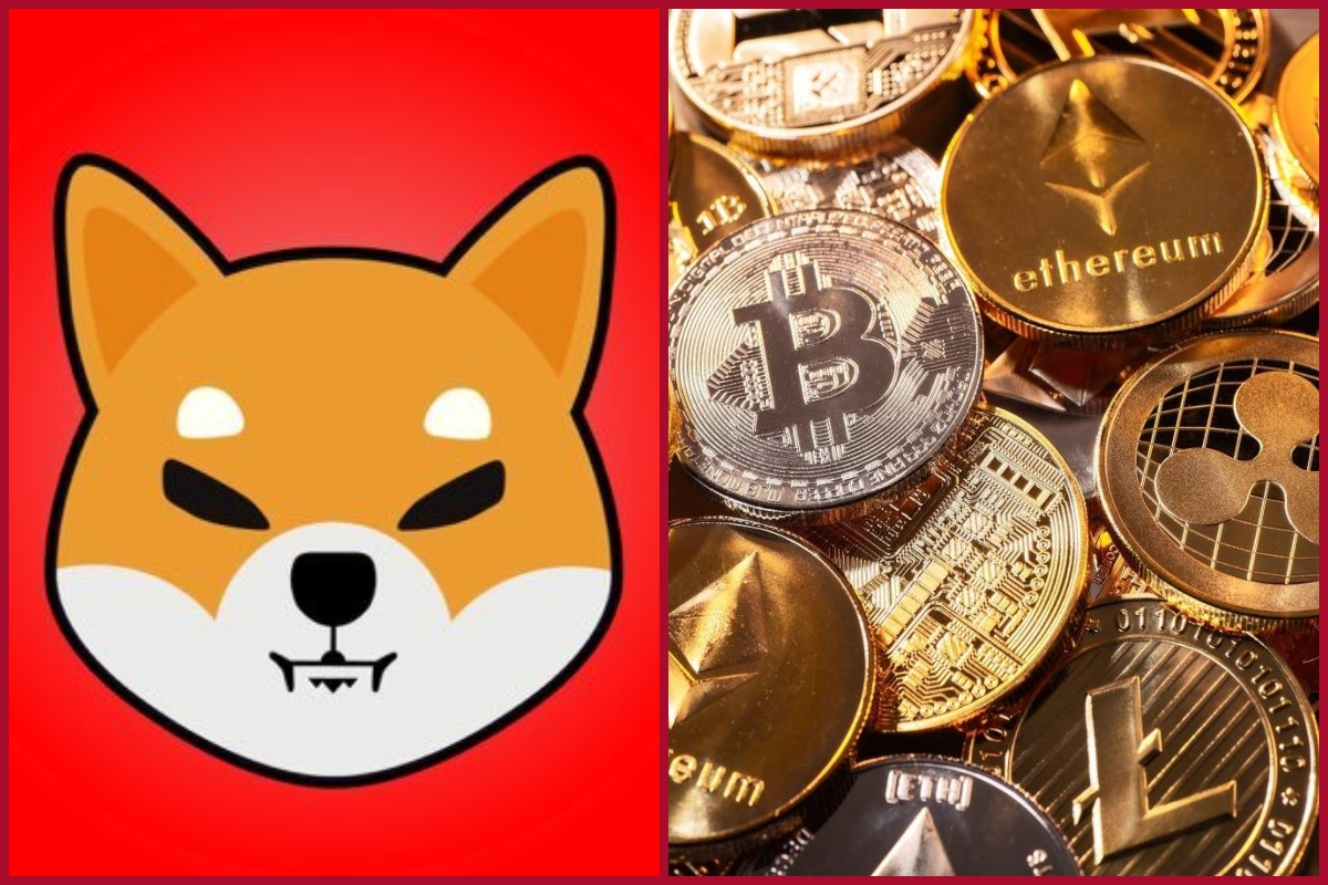 Shiba Inu jumps 20 percent in the past 24 hours; how will investors get benefits?