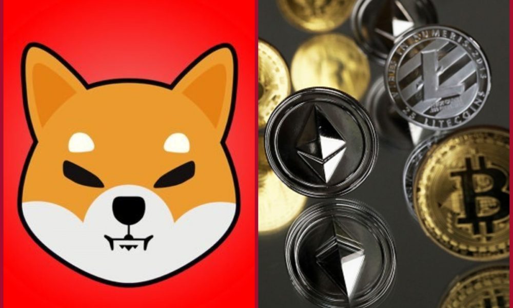 Robinhood lists Shiba Inu cryptocurrency for trading- Shiba Inu, Solana soar; Check crypto offerings