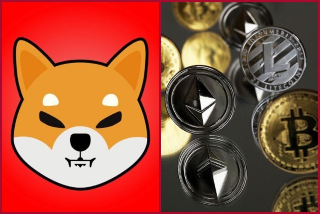Is future of Shiba Inu coin bright? Meme-based crypto ...