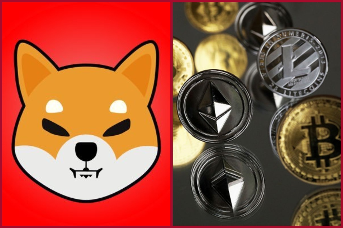 Robinhood lists Shiba Inu cryptocurrency for trading- Shiba Inu, Solana soar; Check crypto offerings