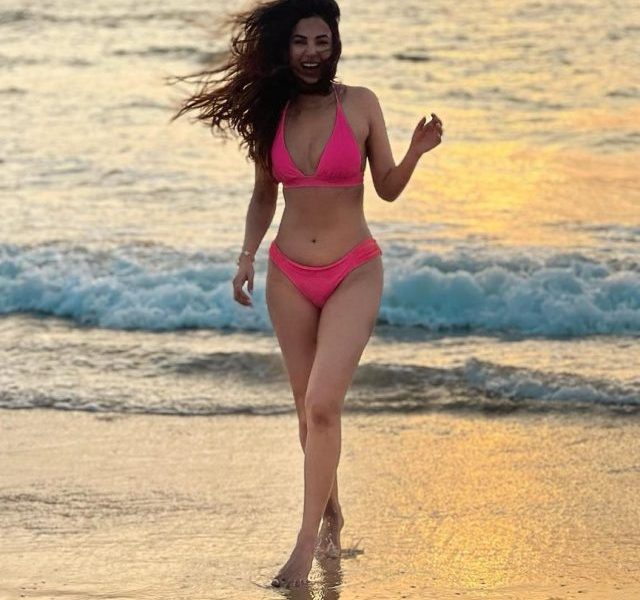 Sonal Chauhan dazzles in stunning bikini pics