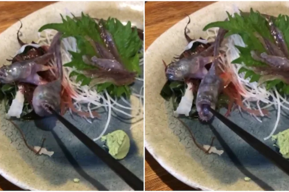 Raw fish served at Japanese restaurant opens its mouth and grabs chopstick! [VIDEO]