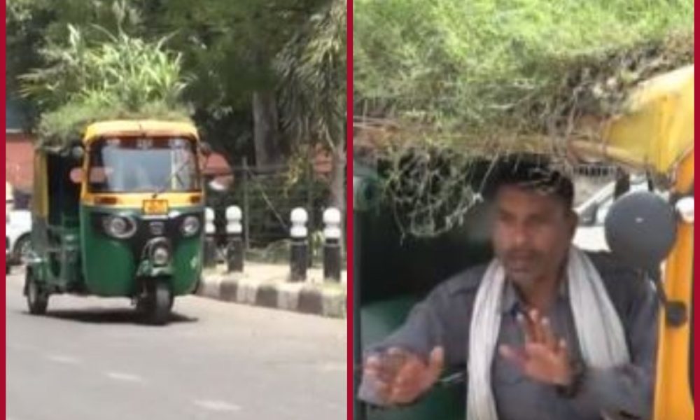 Delhi Auto driver grows small garden on roof of his vehicle for keeping passengers cool