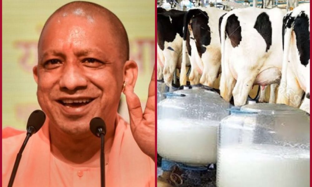 UP Govt to augment Dairy sector, dairy units to be developed on PPP model