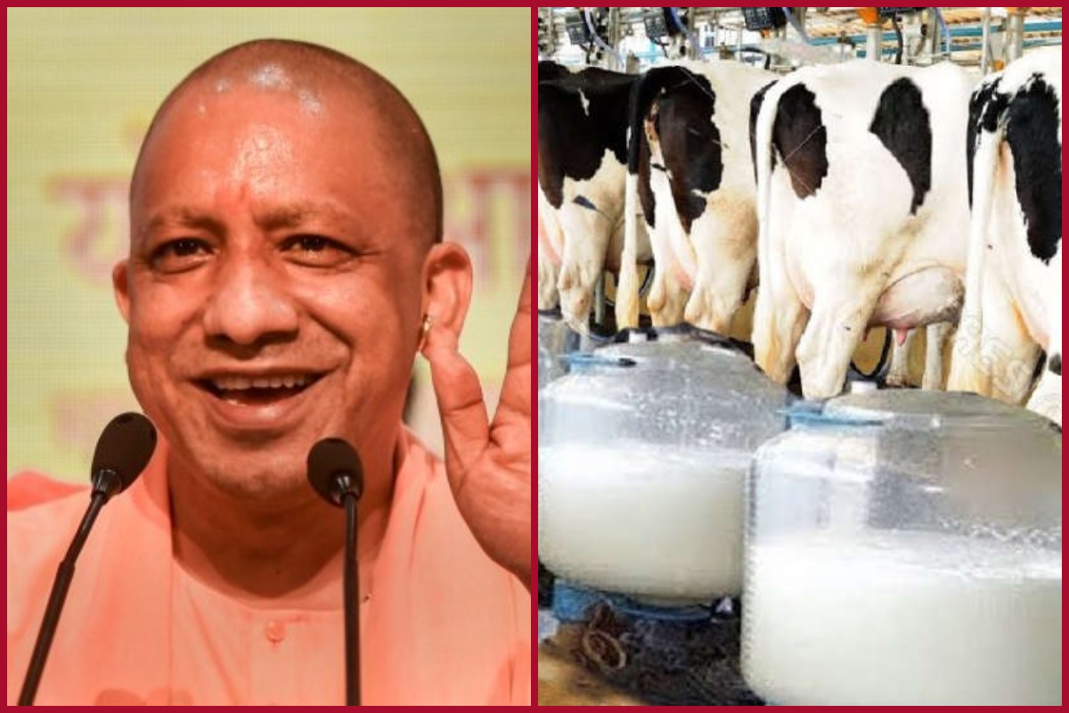 UP Govt to augment Dairy sector, dairy units to be developed on PPP model