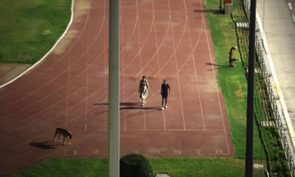 Delhi stadium vacated for IAS officer’s evening walk, sparks row over abuse of power