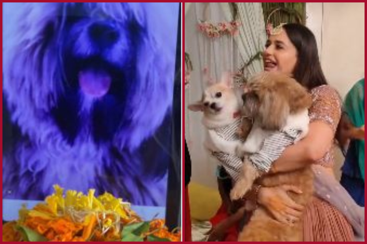 Yuvika Chaudhary’s pet dog dies of cardiac arrest: Netizens flood social media with condolence messages