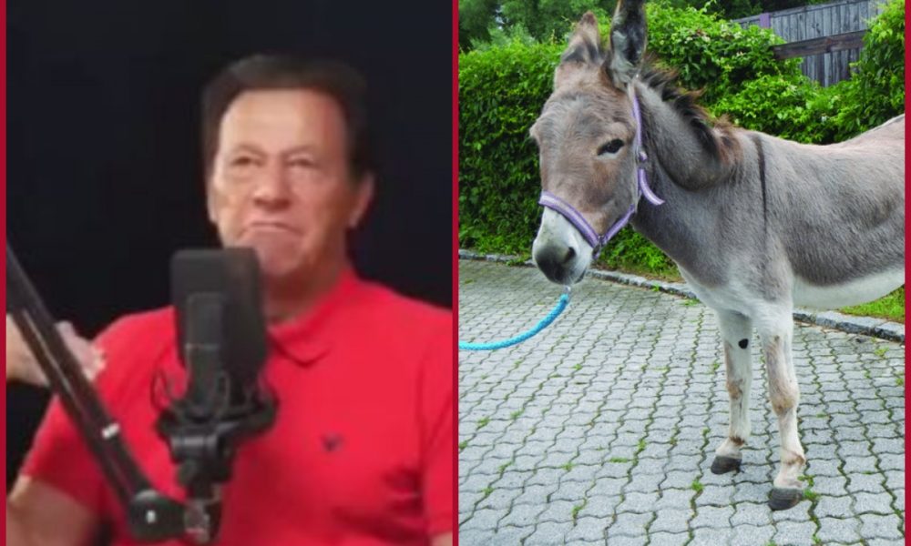 Imran Khan’s slip of tongue or called himself a donkey? Netizens poke fun
