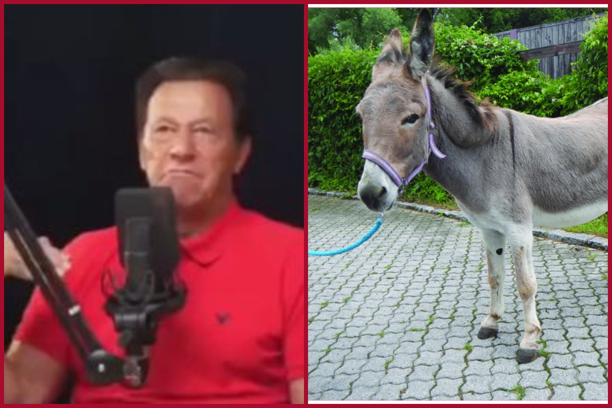 Imran Khan’s slip of tongue or called himself a donkey? Netizens poke fun