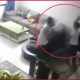 Shocking! Woman beats up husband with cricket bat in front of son, man moves court with CCTV footage in Alwar (VIDEO)
