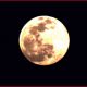 Lunar Eclipse 2022