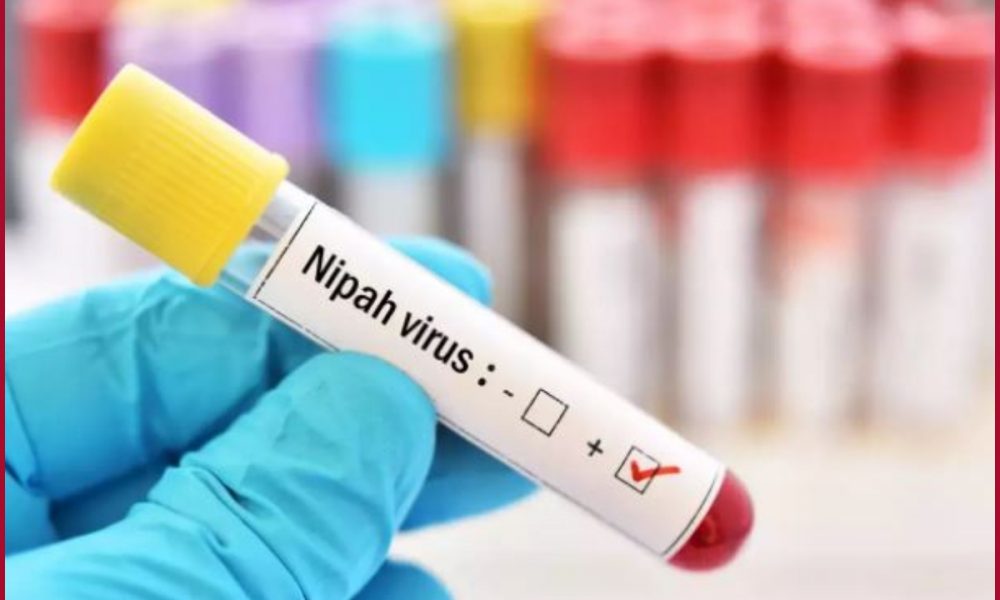 What is Nipah virus? All you need to know about Symptoms, Cause and Treatment for Niv