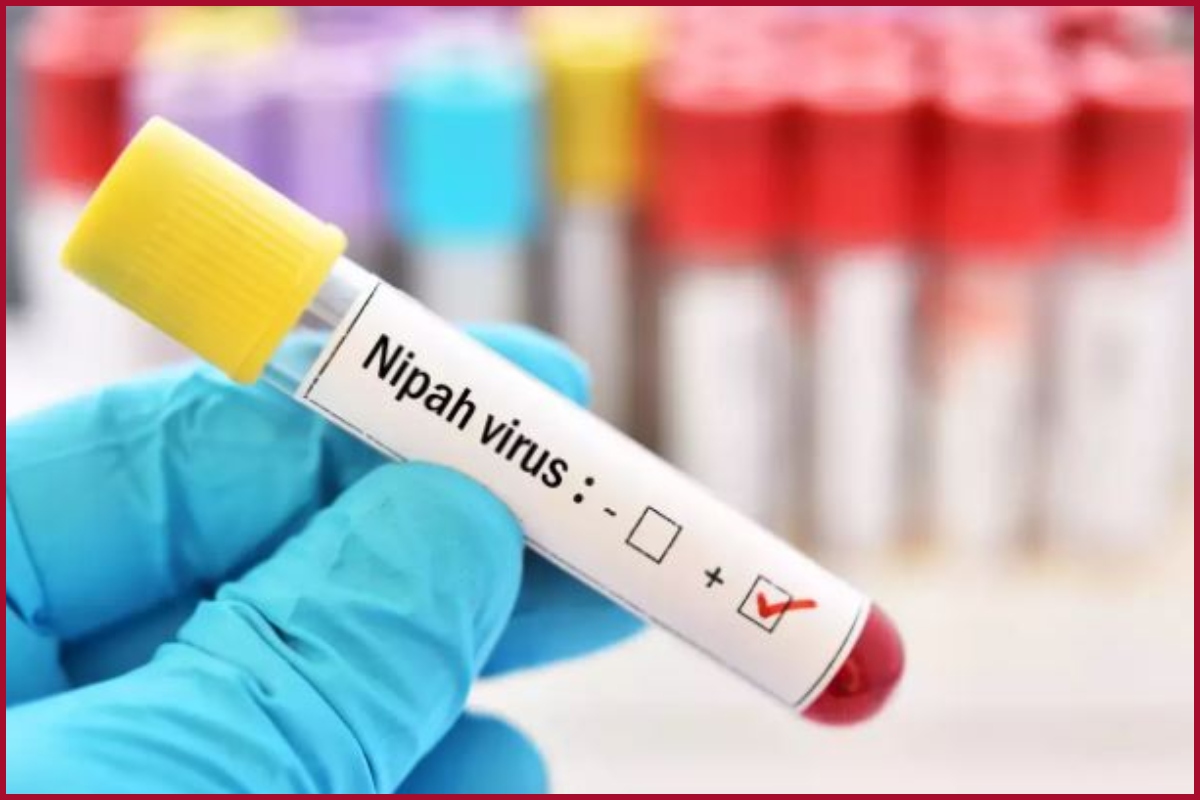 What is Nipah virus? All you need to know about Symptoms, Cause and Treatment for Niv