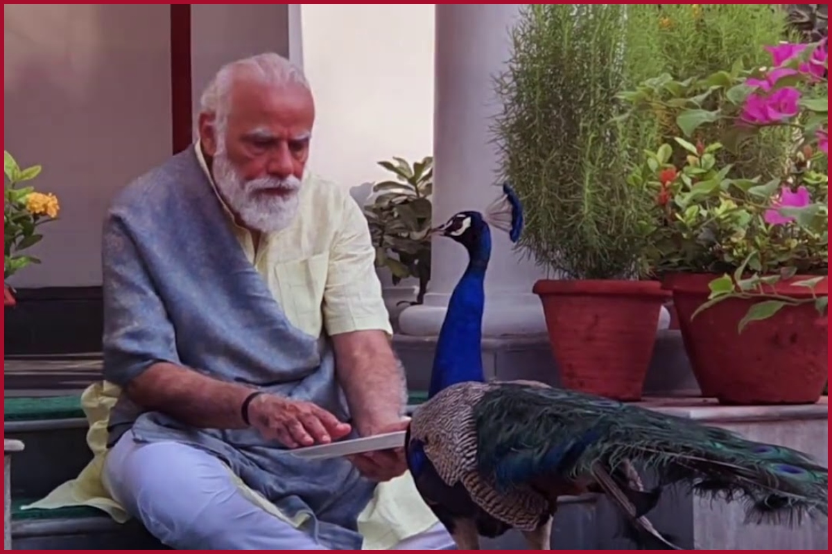 Amit Shah remembers how PM Modi fed a hungry peacock during a meeting, talks about his sensitive nature (VIDEO)