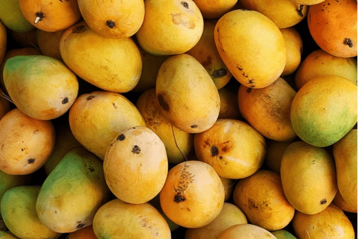 Mangoes