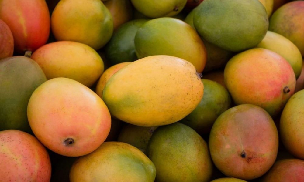 Karnataka Govt opens mango portal to deliver the fruit at consumers’ doorstep