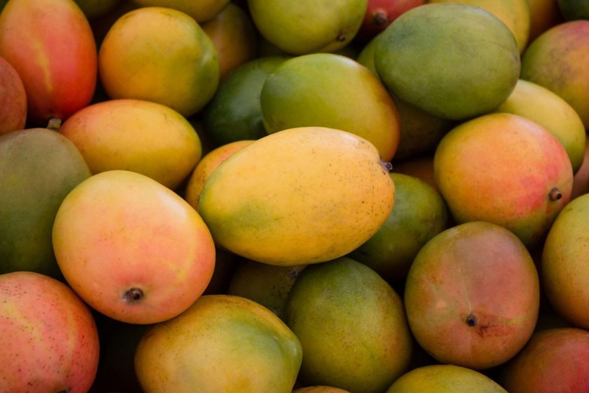 Karnataka Govt opens mango portal to deliver the fruit at consumers’ doorstep