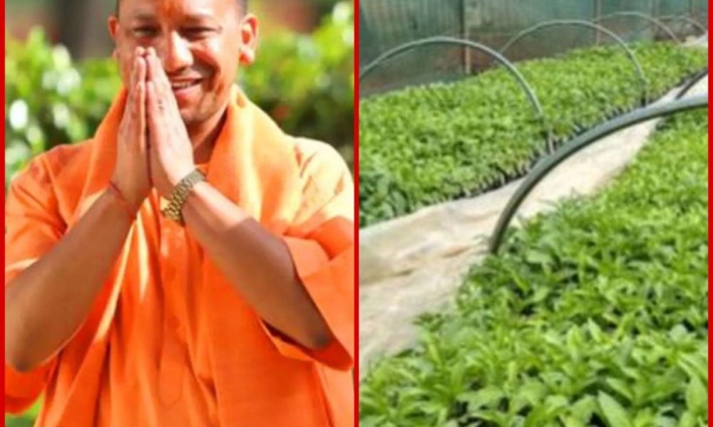 Yogi Govt to set up excellence centres & hi-tech nurseries  in all districts to boost horticulture & food processing