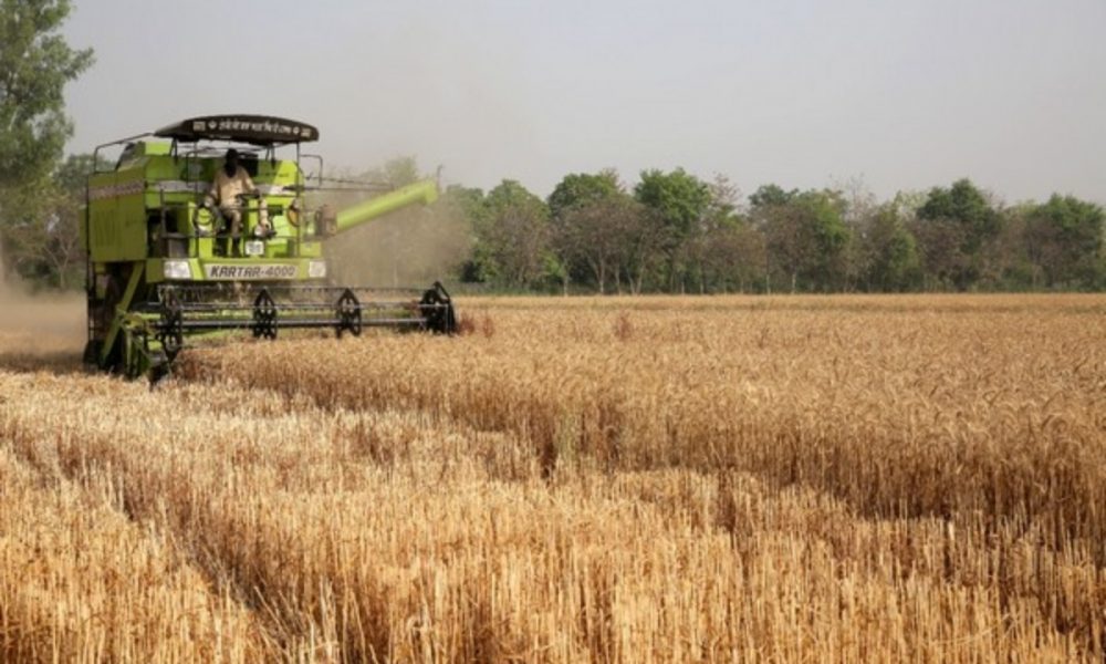 Centre bans wheat export with immediate effect